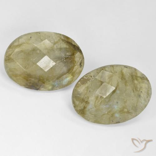 23.45ctw Naturale Multicolore Labradorite, Ovale, Traslucido