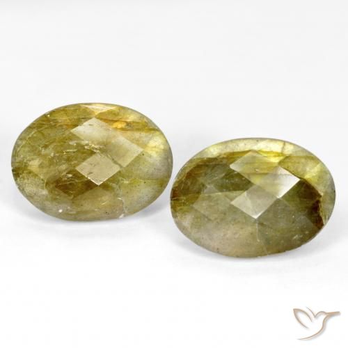 15.66ctw Naturale Multicolore Labradorite, Ovale, Traslucido