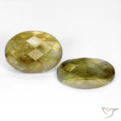 Gemme di Labradorite Multicolore naturale da 15.66 ct, Ovale, Traslucido