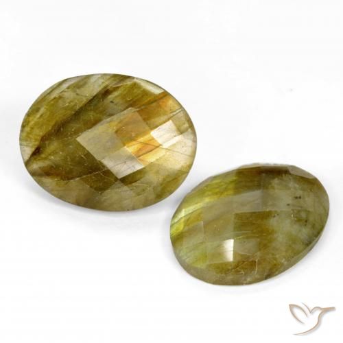 Gemme di Labradorite Multicolore naturale da 19.29 ct, Ovale, Traslucido