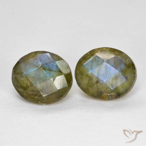 Gemme di Labradorite Multicolore naturale da 2.50 ct, Ovale, Traslucido