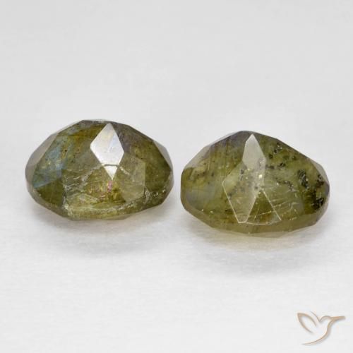 Gemme di Labradorite Multicolore naturale da 2.50 ct, Ovale, Traslucido