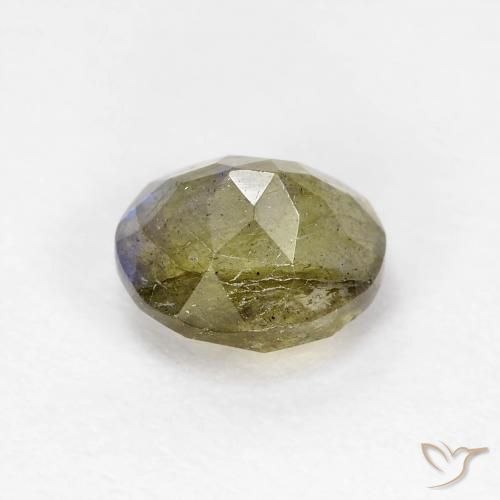 Labradorite Multicolore naturale da 1.31 ct, Ovale, Traslucido