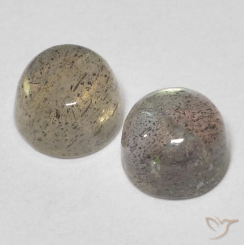 Gemme di Labradorite Multicolore naturale da 1.66 ct, Rotondo, Traslucido