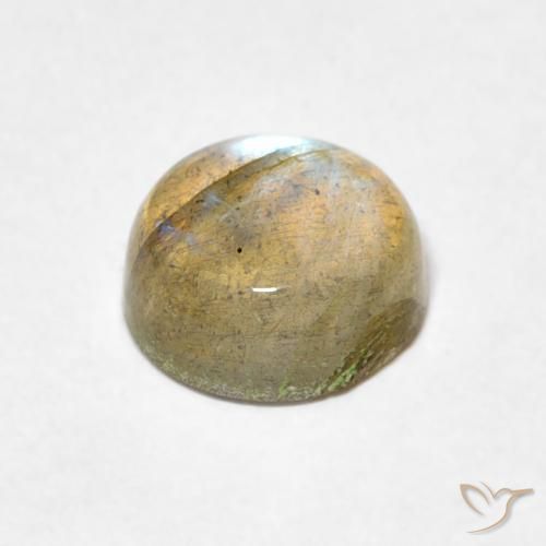 Labradorite Multicolore naturale da 1.57 ct, Rotondo, Trasparente