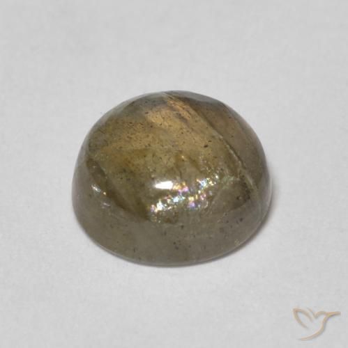 Labradorite Multicolore naturale da 1.46 ct, Rotondo, Traslucido