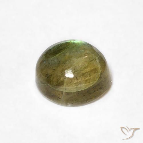 Labradorite Multicolore naturale da 0.60 ct, Rotondo, Traslucido