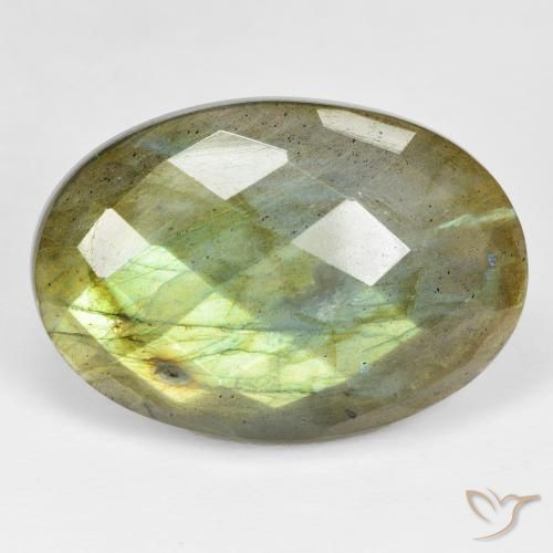 32.68ct Naturale Multicolore Labradorite, Ovale, Opaco