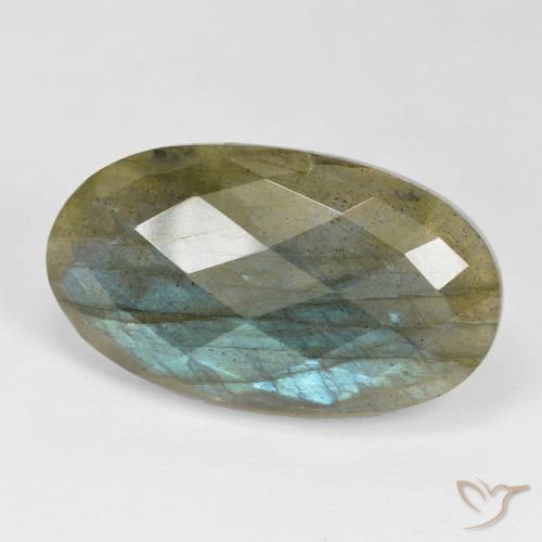 24.29ct Naturale Multicolore Labradorite, Ovale, Opaco
