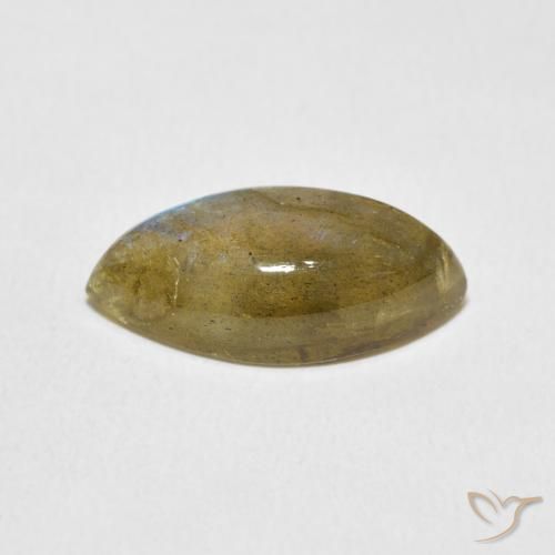 Labradorite Multicolore naturale da 6.90 ct, Taglio marquise, Traslucido