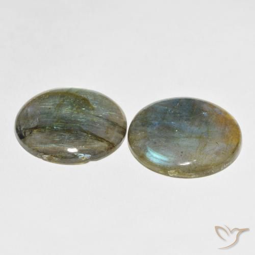 Gemme di Labradorite Multicolore naturale da 54.98 ct, Rotondo, Traslucido