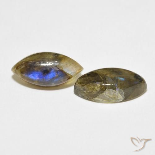 Gemme di Labradorite Multicolore naturale da 6.99 ct, Taglio marquise, Traslucido