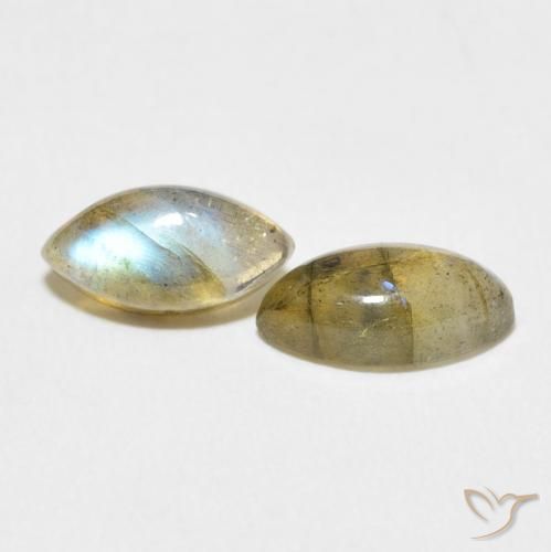 Gemme di Labradorite Multicolore naturale da 2.83 ct, Taglio marquise, Traslucido