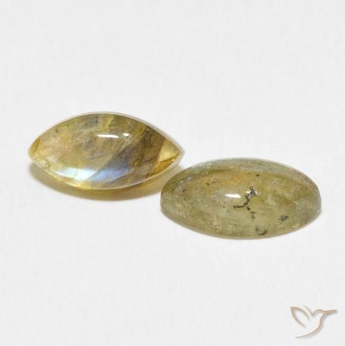 Gemme di Labradorite Multicolore naturale da 2.85 ct, Taglio marquise, Traslucido