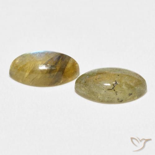 Gemme di Labradorite Multicolore naturale da 2.85 ct, Taglio marquise, Traslucido