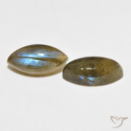 Gemme di Labradorite Multicolore naturale da 7.44 ct, Taglio marquise, Traslucido