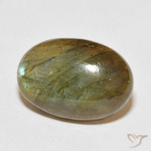 Labradorite Multicolore naturale da 12.53 ct, Ovale, Traslucido
