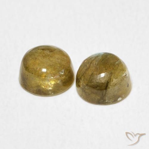 Gemme di Labradorite Multicolore naturale da 1.38 ct, Rotondo, Traslucido
