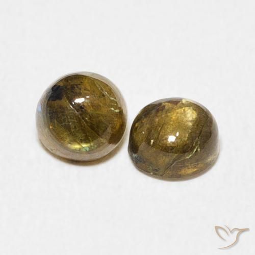 Gemme di Labradorite Multicolore naturale da 1.37 ct, Rotondo, Traslucido