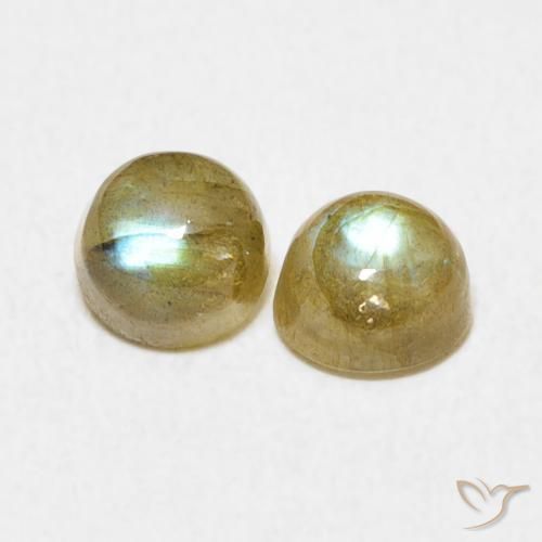 Gemme di Labradorite Multicolore naturale da 1.50 ct, Rotondo, Traslucido