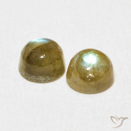 Gemme di Labradorite Multicolore naturale da 1.50 ct, Rotondo, Traslucido