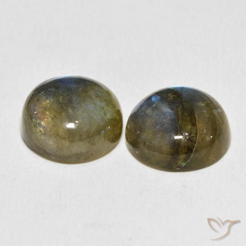 Gemme di Labradorite Multicolore naturale da 14.02 ct, Rotondo, Traslucido