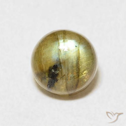 1.14ct Naturale Multicolore Labradorite, Rotondo, Traslucido
