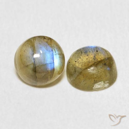 Gemme di Labradorite Multicolore naturale da 2.35 ct, Rotondo, Traslucido