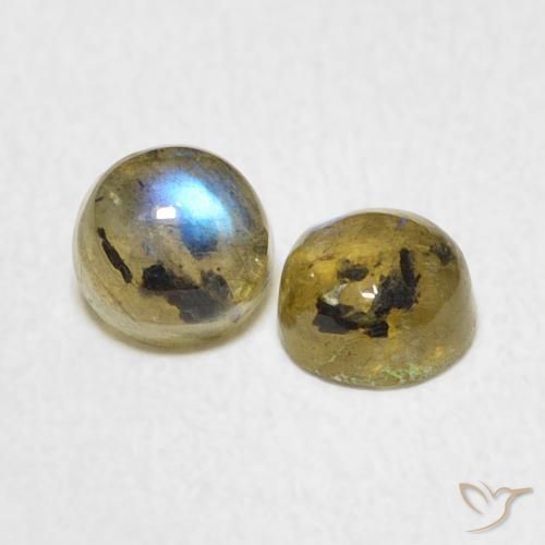 Gemme di Labradorite Multicolore naturale da 1.34 ct, Rotondo, Traslucido