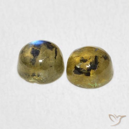 Gemme di Labradorite Multicolore naturale da 1.34 ct, Rotondo, Traslucido