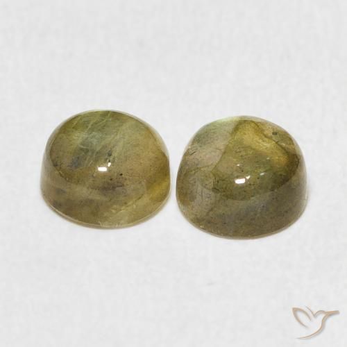 Gemme di Labradorite Multicolore naturale da 2.50 ct, Rotondo, Traslucido