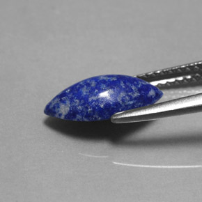 Lapislazzuli naturale blu da 1,60 ct, marchesa, opaco