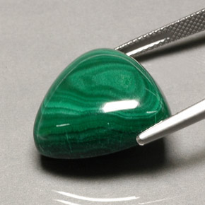 Malachite naturale verde da 34,16 ct, trillion, opaco