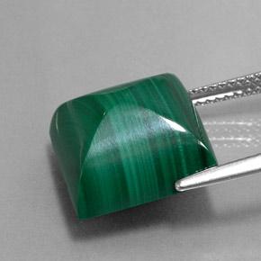Malachite naturale verde da 15,43 ct, quadrato, opaco