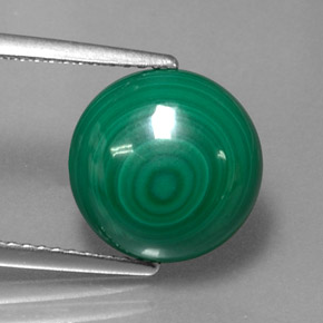 Malachite naturale verde da 7,16 ct, taglio rotondo, opaco