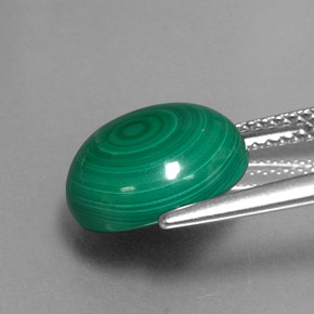 Malachite naturale verde da 7,16 ct, taglio rotondo, opaco