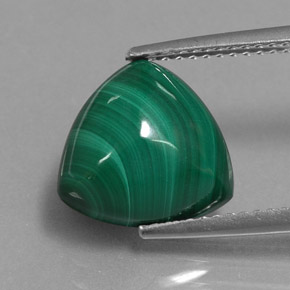 Malachite naturale verde da 6,13 ct, trillion, opaco