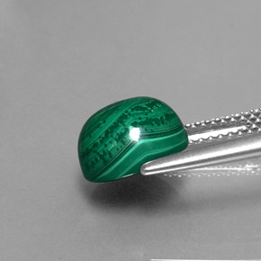 Malachite naturale verde da 5,27 ct, taglio rotondo, opaco