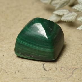 Malachite Verde Pino naturale da 6.82 ct, Quadrato, Opaco