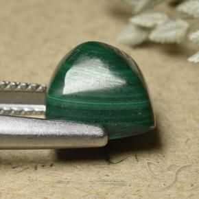 Malachite Verde Pino naturale da 6.82 ct, Quadrato, Opaco