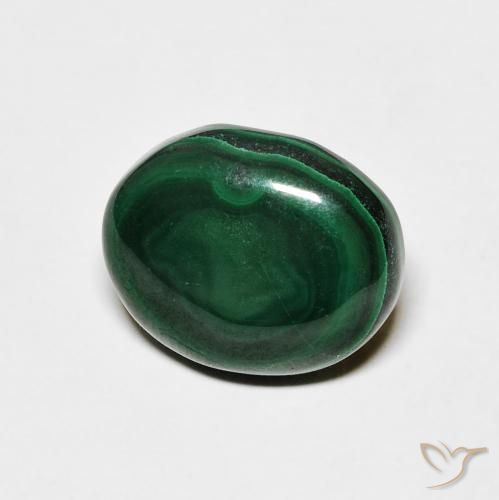 Malachite Verde Pino naturale da 6.18 ct, Ovale, Opaco