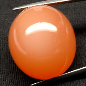 Pietra di luna naturale arancione da 81,53 ct, trasparente, trasparente/traslucido