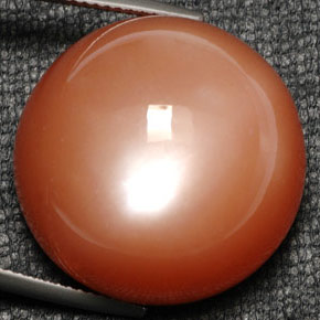 Pietra di luna naturale arancione da 52,80 ct, taglio rotondo, opaco