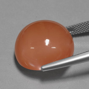 Pietra di luna naturale arancione da 25,39 ct, taglio rotondo, opaco
