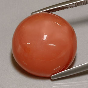 Pietra di luna naturale arancione da 20,38 ct, trasparente, trasparente/traslucido