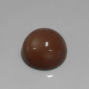 Pietra di luna naturale marrone da 20,19 ct, taglio rotondo, opaco