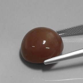 Pietra di luna naturale marrone da 20,19 ct, taglio rotondo, opaco