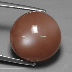 Pietra di luna naturale arancione da 17,08 ct, taglio rotondo, opaco