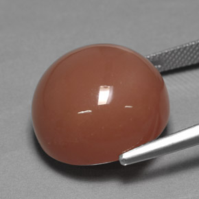 Pietra di luna naturale arancione da 17,08 ct, taglio rotondo, opaco