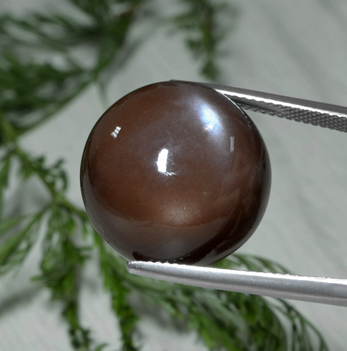 Pietra di luna naturale marrone da 26,22 ct, taglio rotondo, opaco
